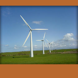 wind turbines in an open field